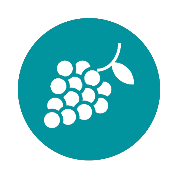Vignette Viticulture trop sec 500